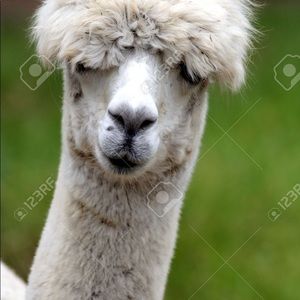 Meet your Posher, Connie